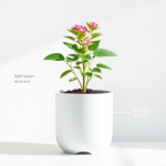 Smart Self-Watering Garden Kit