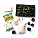 Balcony Salad Garden Kit