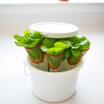 Hydroponics Starter Kit