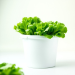 Hydroponics Starter Kit