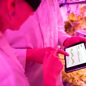 AI in Agriculture: How Can Students Transform the Future of Farming?