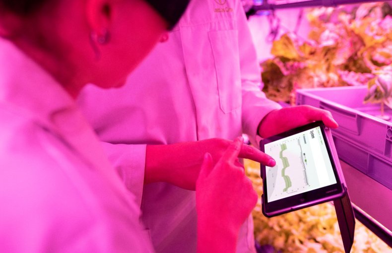 AI in Agriculture: How Can Students Transform the Future of Farming?