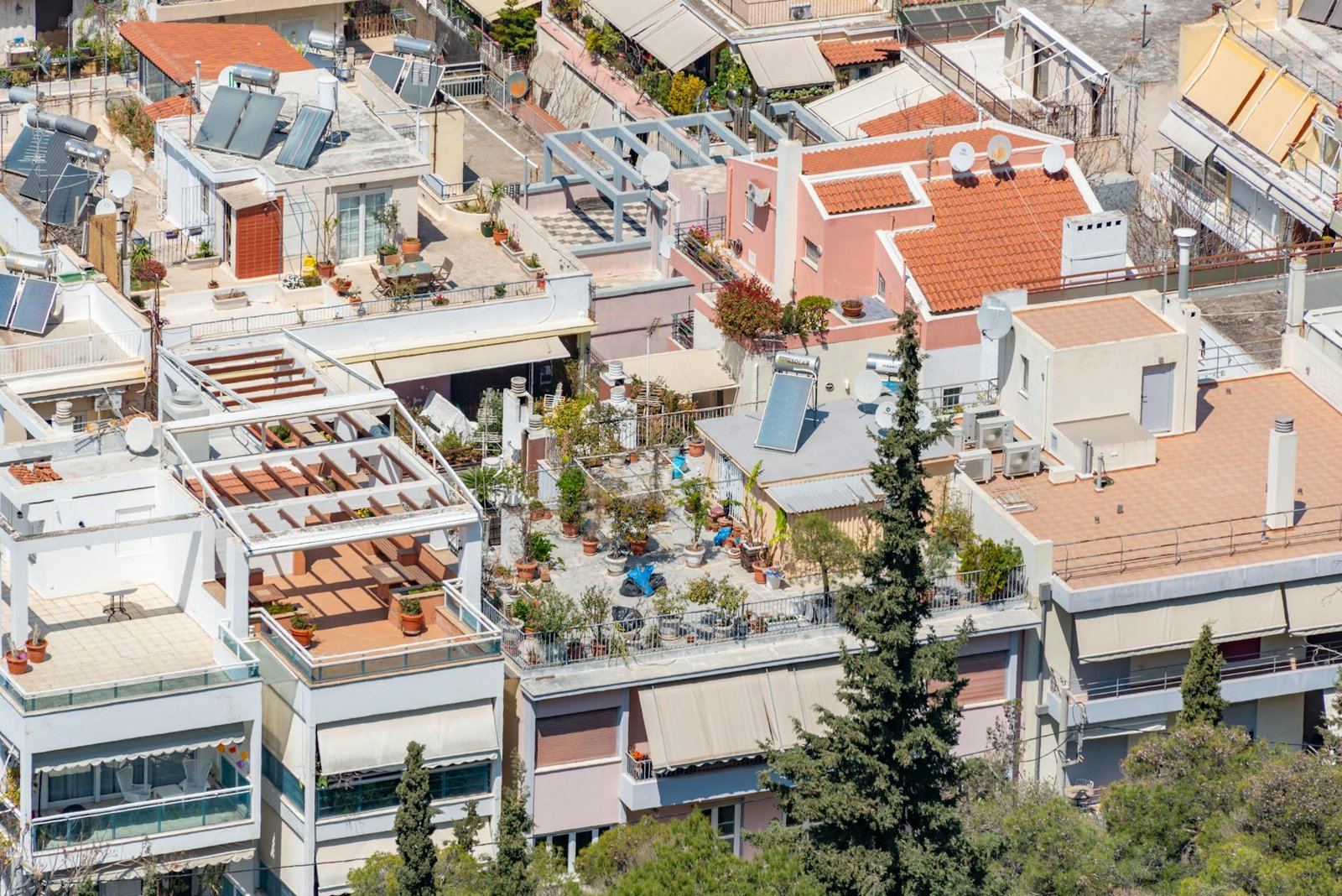 Roof Garden