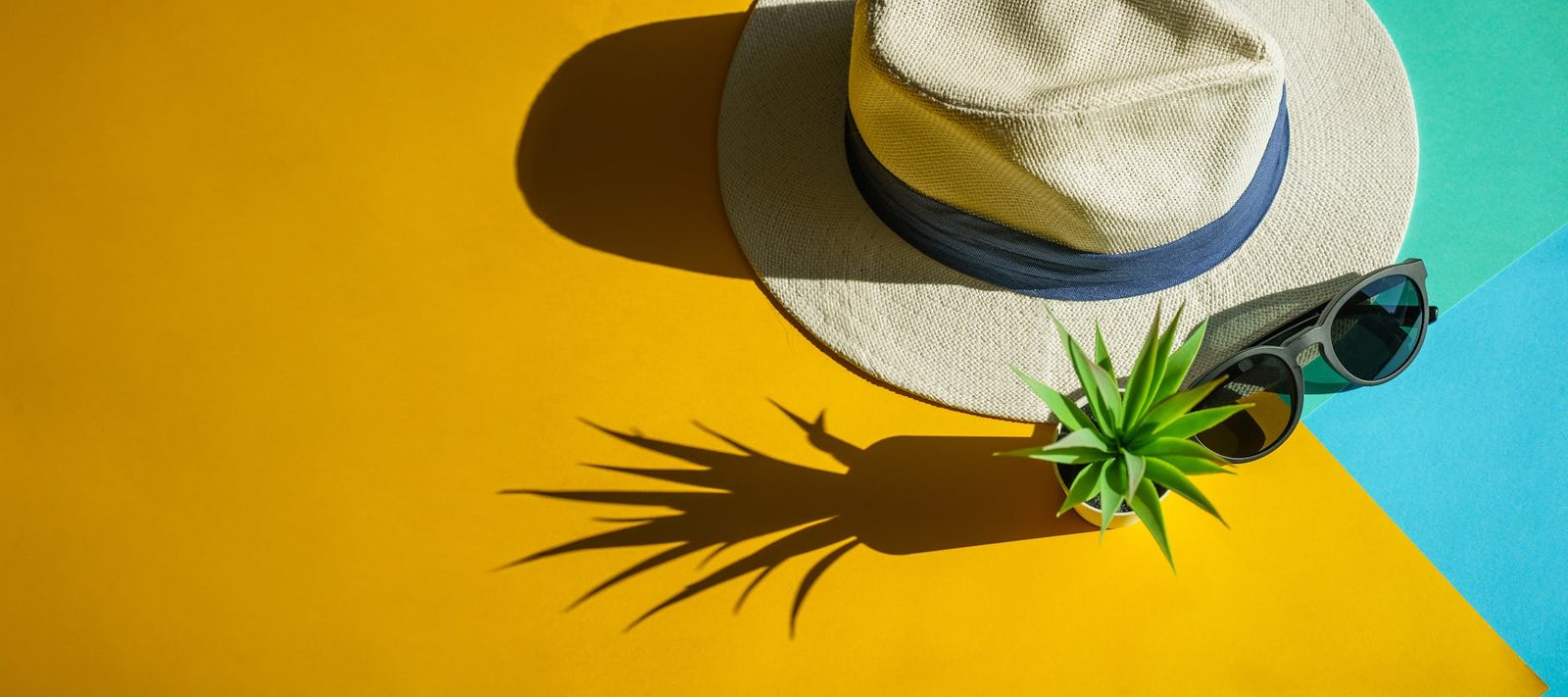 Plants under sun protection