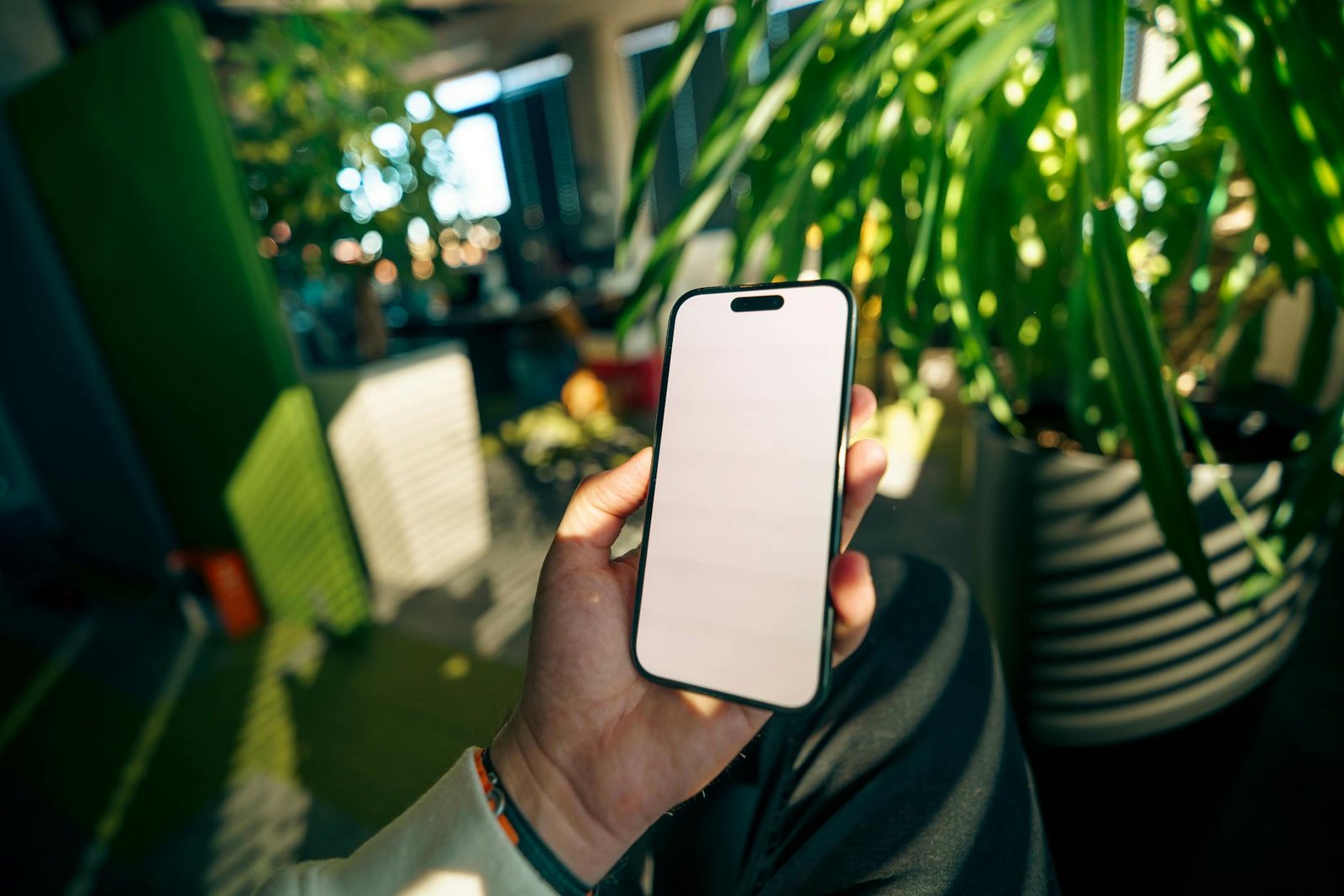Image of a smart plant diagnosis app