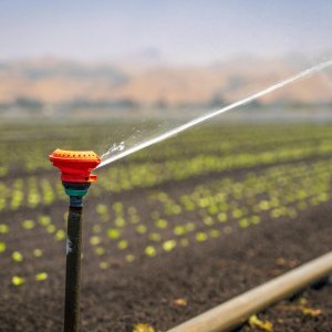 Hotel Garden Irrigation