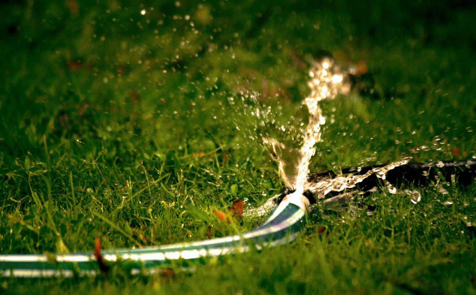 Hotel garden irrigation system