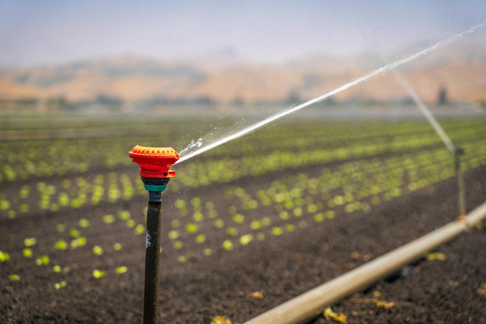 Smart irrigation system