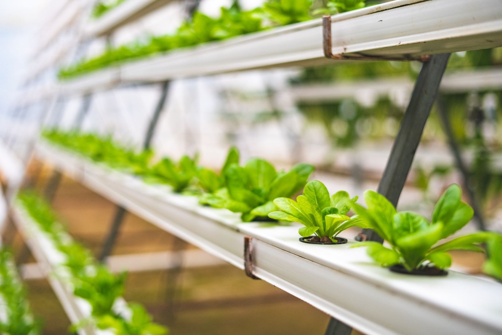 smart hydroponic system