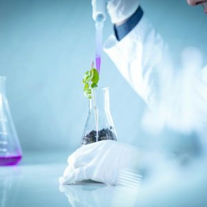 Measuring pH in Aquaponics