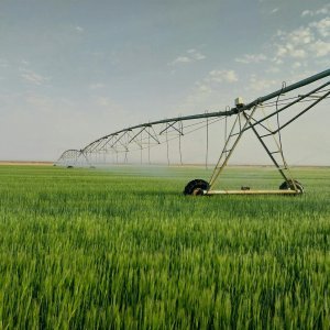Smart Farm Alert System