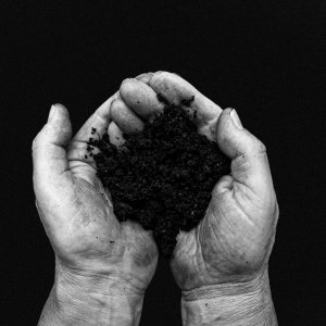 Organic Sterile Soil 20L