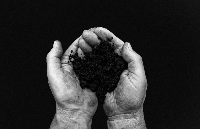 Organic Sterile Soil 20L
