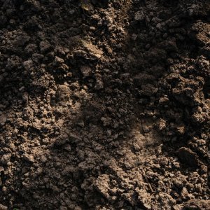 Expanded Clay 5kg