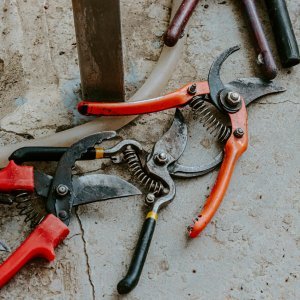 Professional Pruning Shears