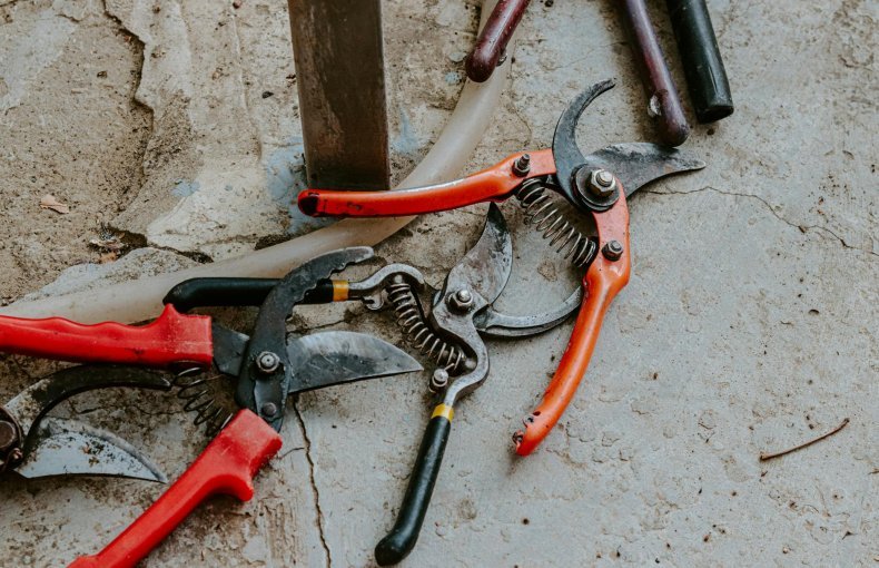 Professional Pruning Shears