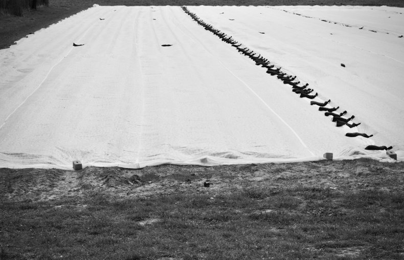 Plant Protection Net 3×5m