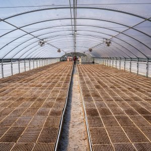 Planting Trays 1020