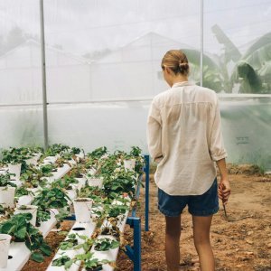 Overcoming Traditional Farming Issues in Egypt
