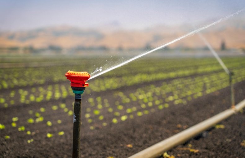 Save Your Farm
