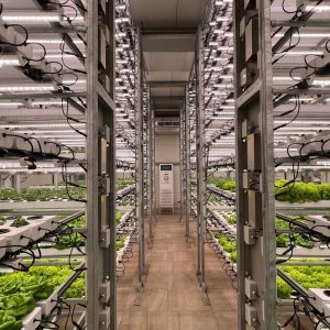 Success in Hot Weather Crop Farming