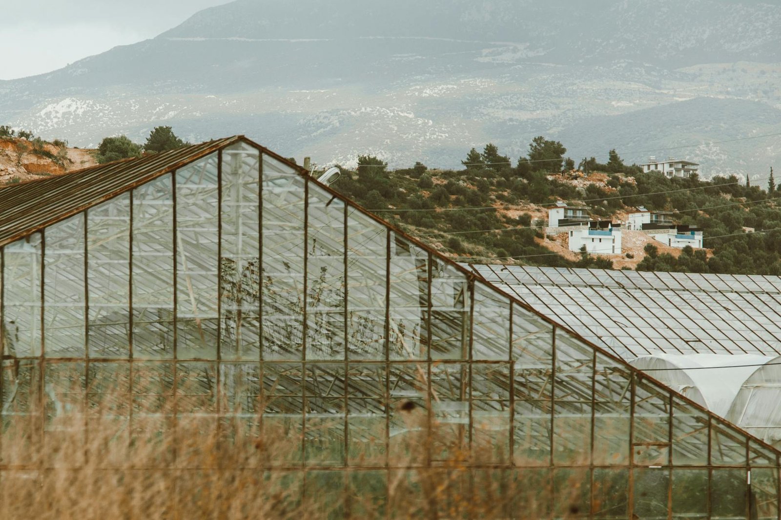 greenhouse