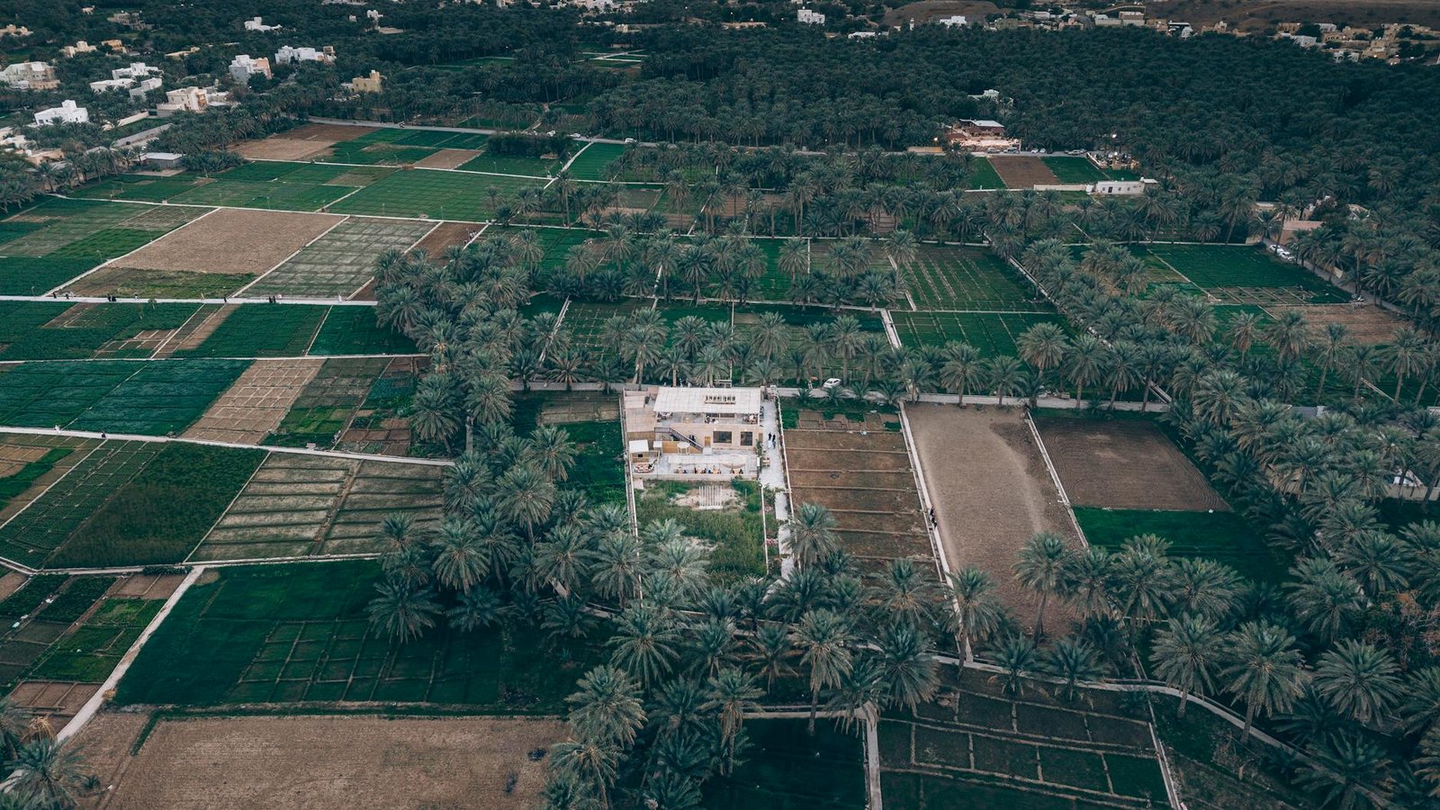Green farm