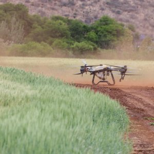 Preventing Drought in Farms