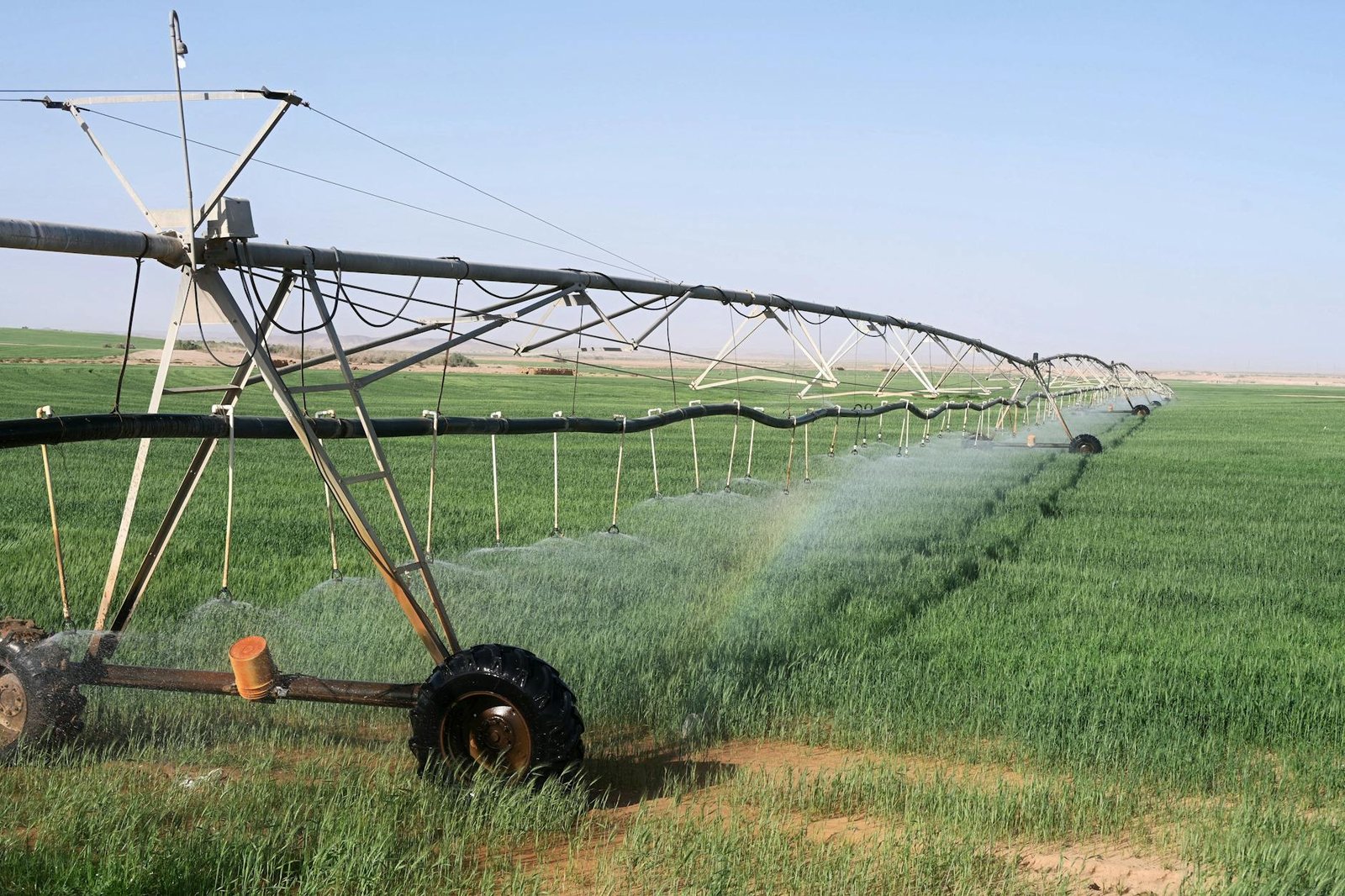 Advanced irrigation system