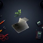 DIY Wood Coconut Tree House With Rain Sensor