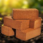 خث Peat Moss - Bric