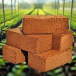 خث Peat Moss - Bric