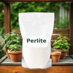 Perlite Horticultural Grade