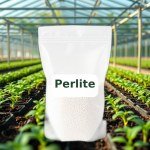 Perlite Horticultural Grade