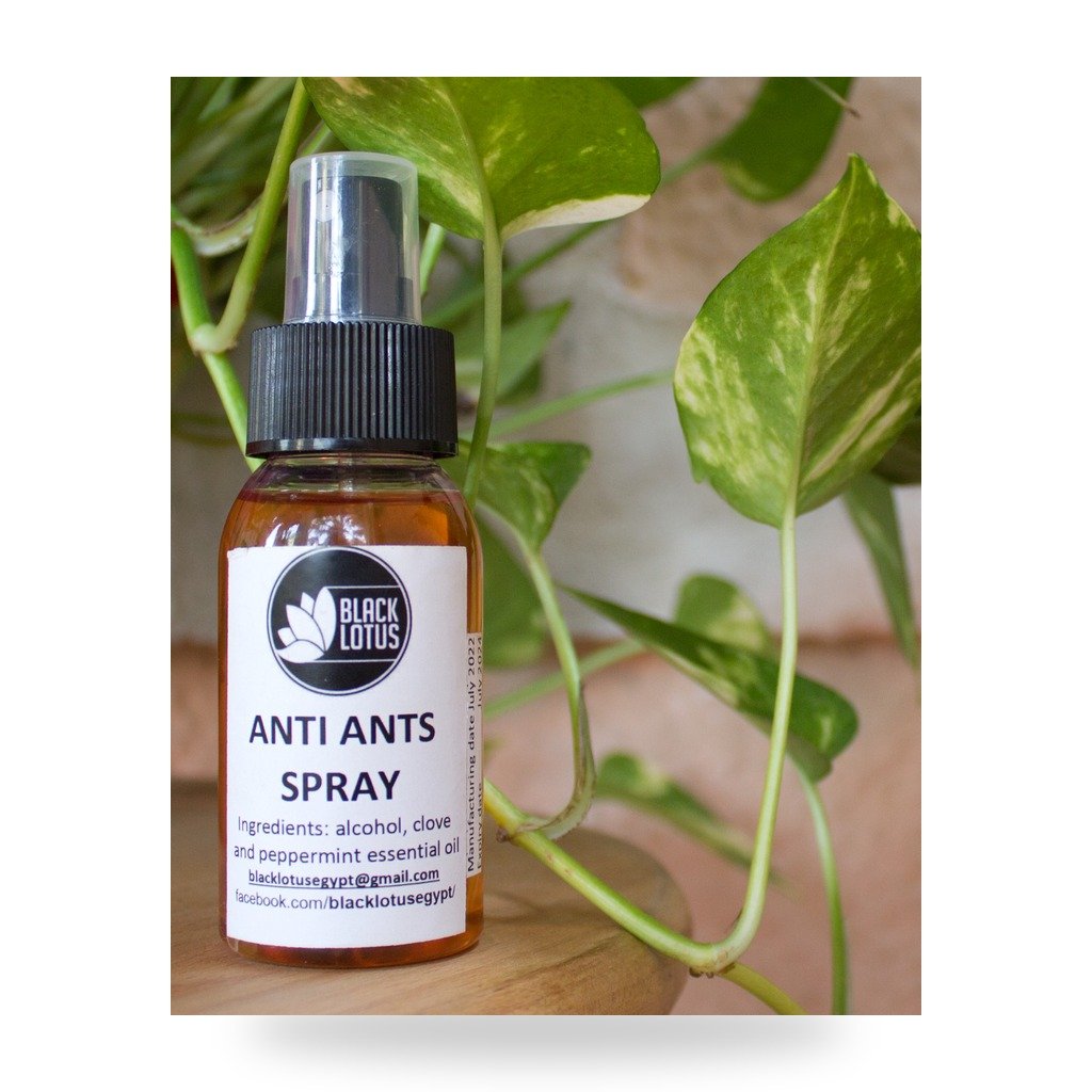 Anti-Ants Spray