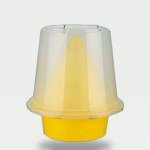 Fly Trap