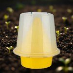 Fly Trap