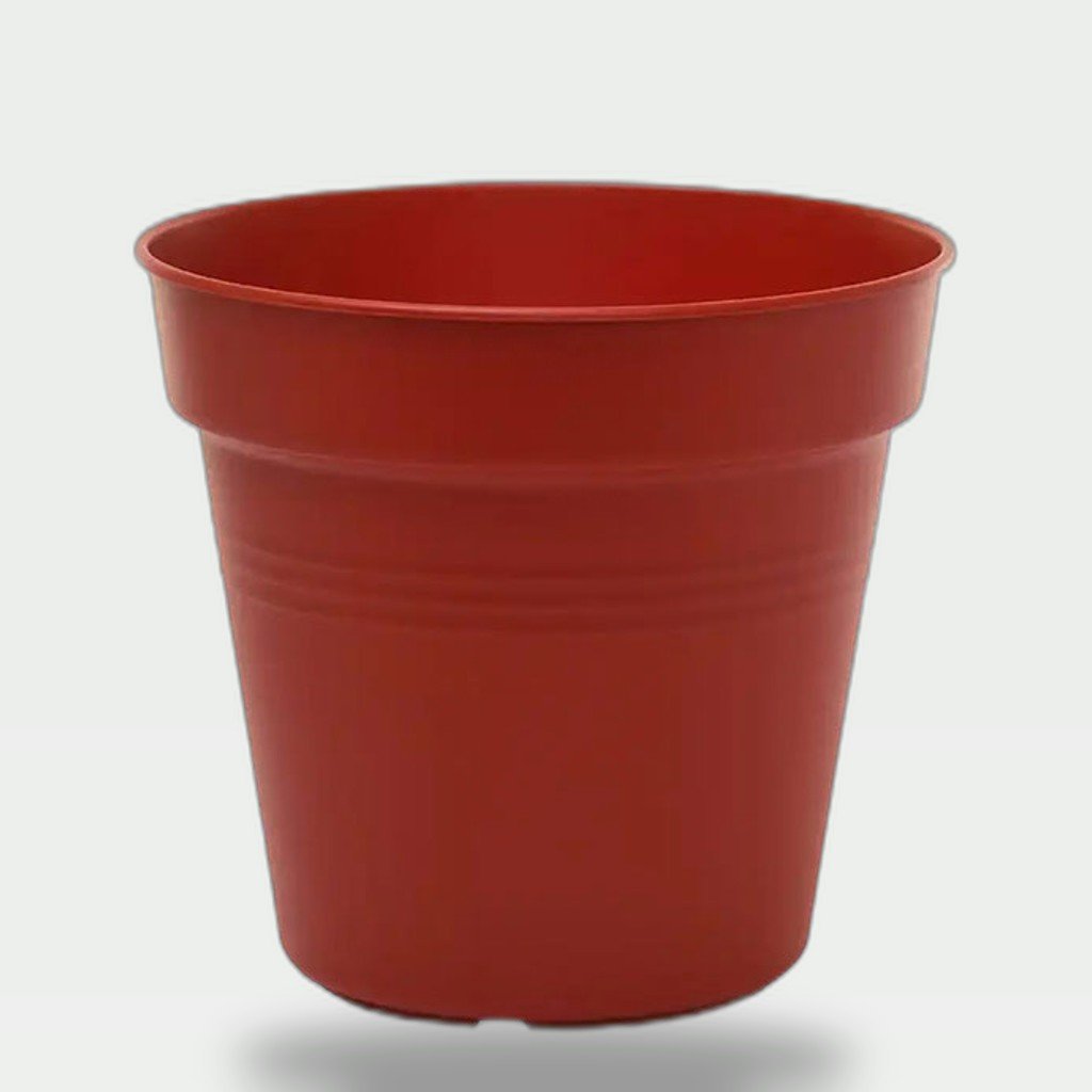 Plant Pot