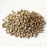 البردقوش Origanum majorana