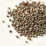 Thyme