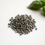 Italian Basil