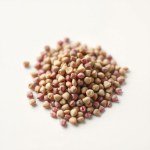 زهور الأميرانثس Amaranth