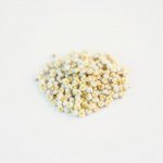 زهور الاليسم Alyssum