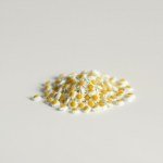 زهور البكرت (الأقحوان الإنجليزي) Bellis perennis