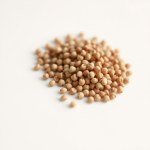 زهور الجمفرينا Gomphrena