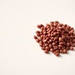 زهور السالفيا الحمراء Salvia splendens