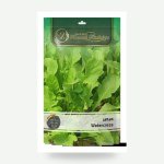 Rocket Eruca sativa