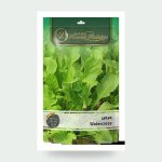 Rocket Eruca sativa