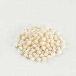 الفجل الأبيض white radish