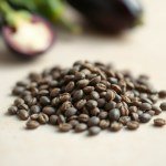 Eggplant
